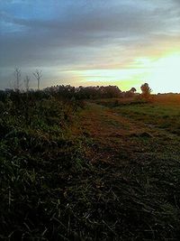 Scenic view of grassy field against sky at sunset