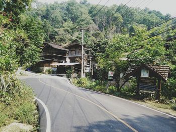 Empty road along trees
