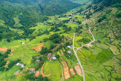 High angle view of agricultural field