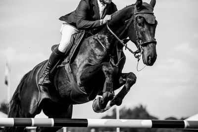 Horse jumping, equestrian sports, show jumping competition themed photograph.