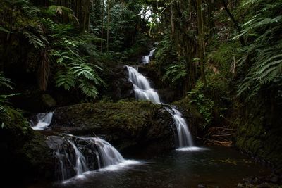 View of waterfall in forest