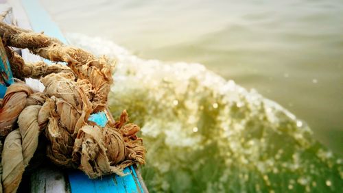 Close-up of rope against blurred background