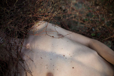 High angle view of shirtless man hiding face with dried plants while lying on field