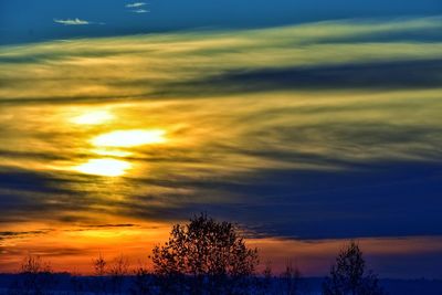 Silhouette trees against sky during sunset