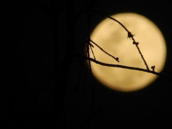 Close-up of silhouette moon against sky at sunset