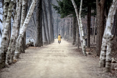 Rear view of woman riding bicycle on road in forest