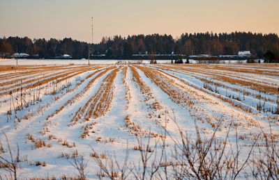 Scenic view of snow covered field against sky during sunset