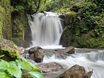 Scenic view of waterfall in forest