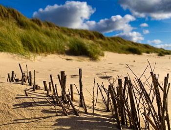 Scenic view of beach against sky