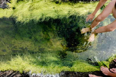 Midsection of woman holding fresh plants in water