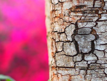 Full frame shot of weathered wall