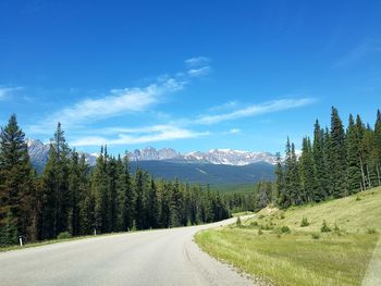 Road by trees against blue sky