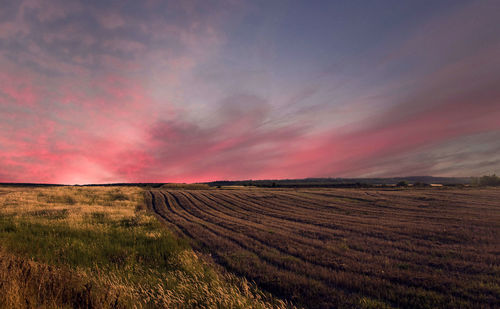 Scenic view of field against sky during sunset