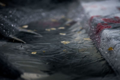 Close-up of water