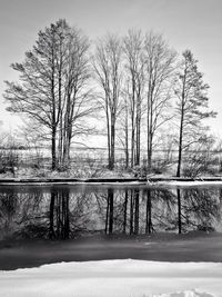 Scenic view of snow covered landscape