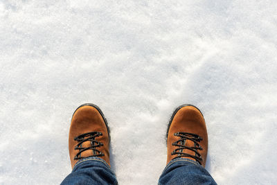 Low section of person standing on snow