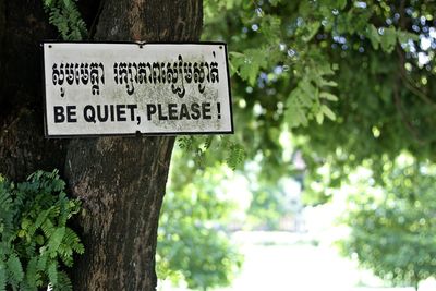 Close-up of information sign on tree trunk