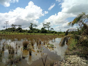 Scenic view of lake against sky