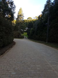 Road amidst trees against sky