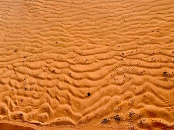 High angle view of wet sand