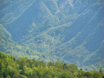 Scenic view of mountains