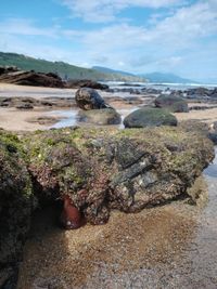 Scenic view of rocks on beach against sky