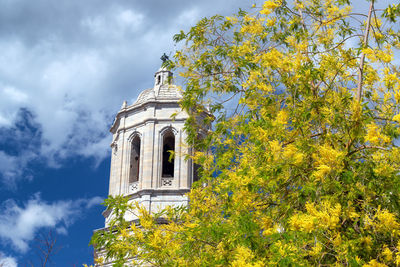 Low angle view of yellow tree by building against sky