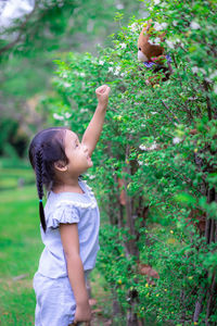 Girl reaching towards toy on plant