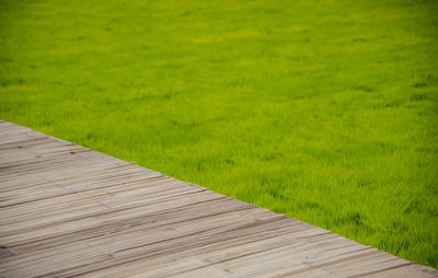 High angle view of footpath in field