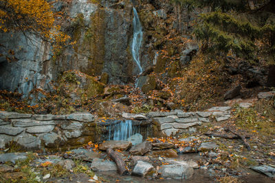 View of waterfall in forest