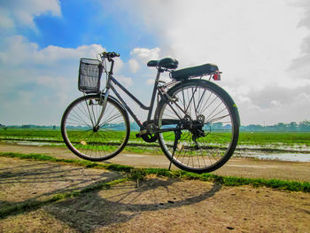 Residents' bicycles on the edge of the rice fields