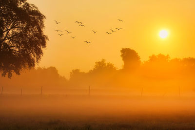 Scenic view of sunset over field