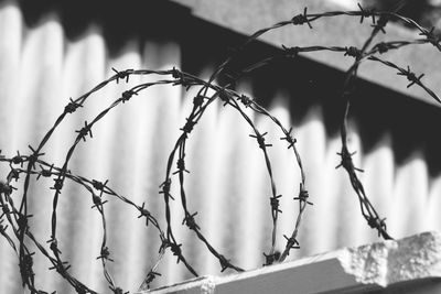 Close-up of chainlink fence