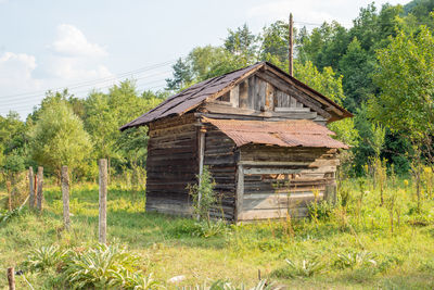 Abandoned house on field against trees in forest