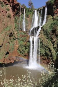 Scenic view of waterfall in forest