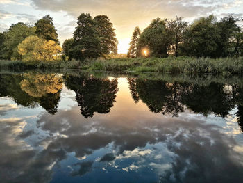 Reflection of trees in calm lake