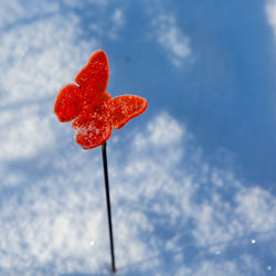 Low angle view of red butterfly against sky