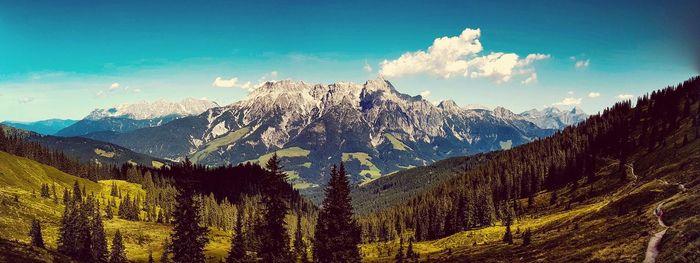 Panoramic view of forest against sky