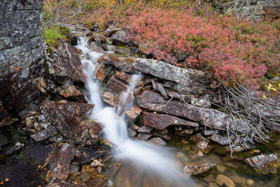 A small stream flowing in a canyon in the urho kekkonen national park of the finnish lapland