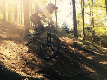 Man riding bicycle in forest