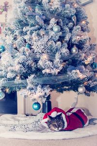 Christmas tree on table