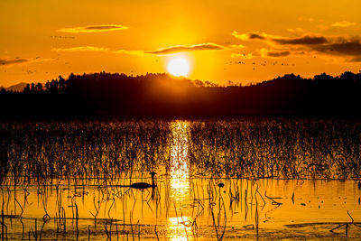 Scenic view of lake at sunset