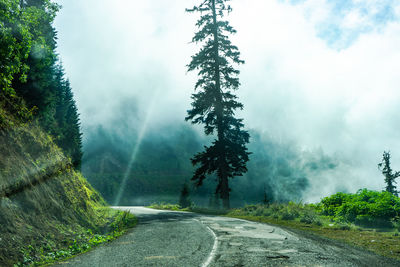 Road amidst trees against sky