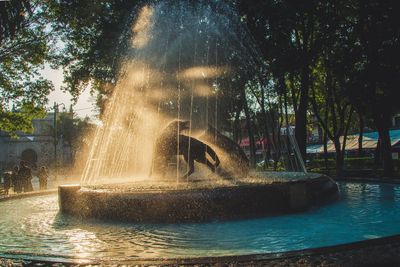 Water splashing in fountain at park