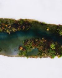 Scenic view of trees by lake against sky