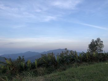 Scenic view of landscape against sky