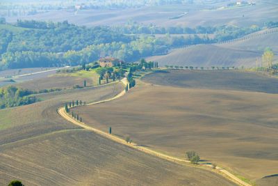 High angle view of agricultural field