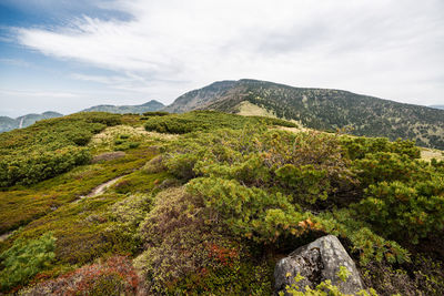 Scenic view of green mountains against sky