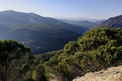 High angle view of trees and mountains against sky