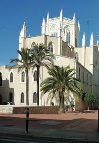 Palm trees and buildings against sky